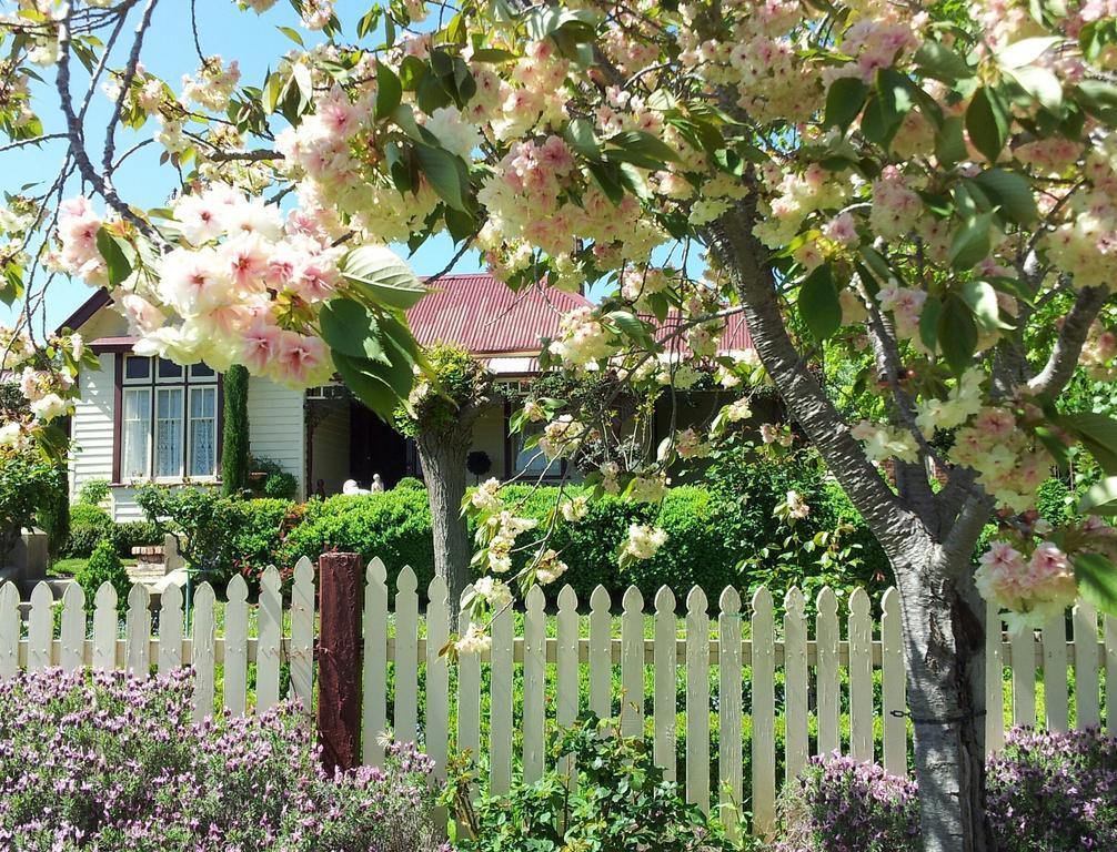 Barnsley House Bed And Breakfast Beechworth Buitenkant foto